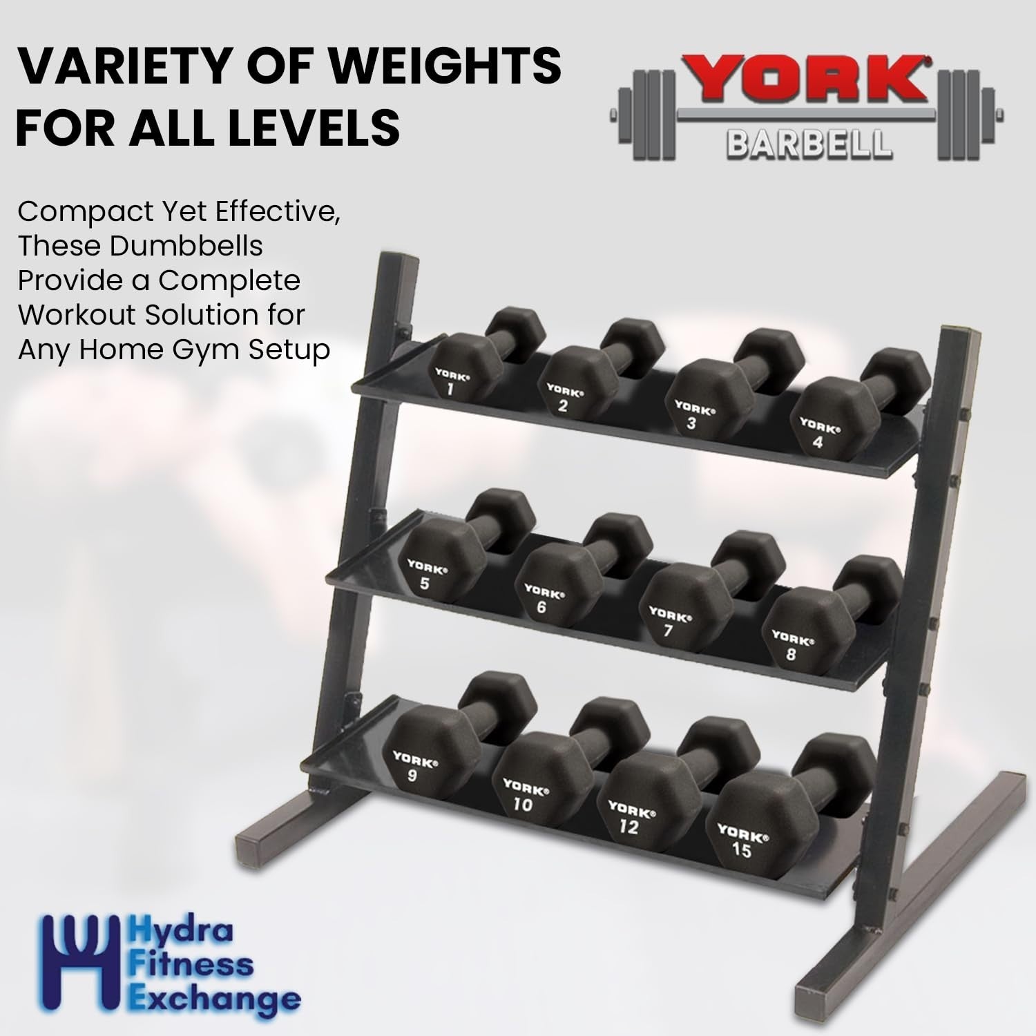 New York 10lb Neoprene Hex Dumbbells (Pair) &ndash; Ergo Handle York Freeweight