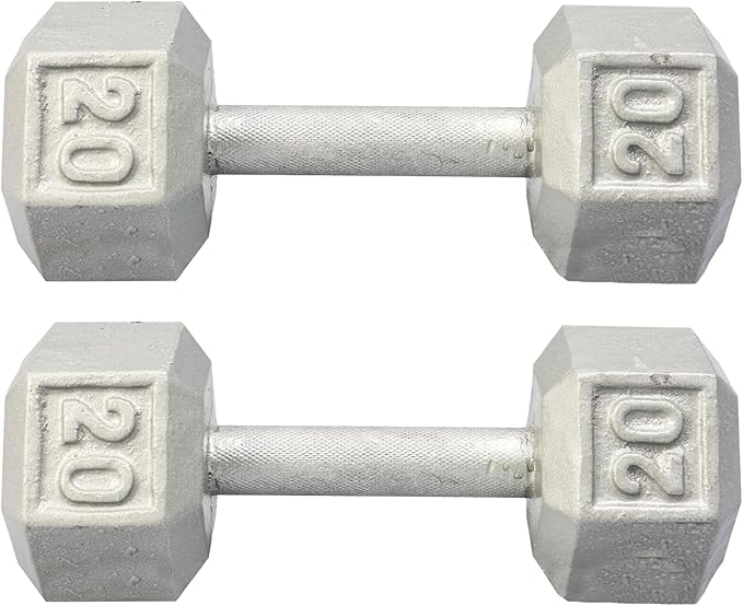 Cast Iron Hex Dumbbell 20 lb (Pair) &ndash; Silver Home Strength Weights