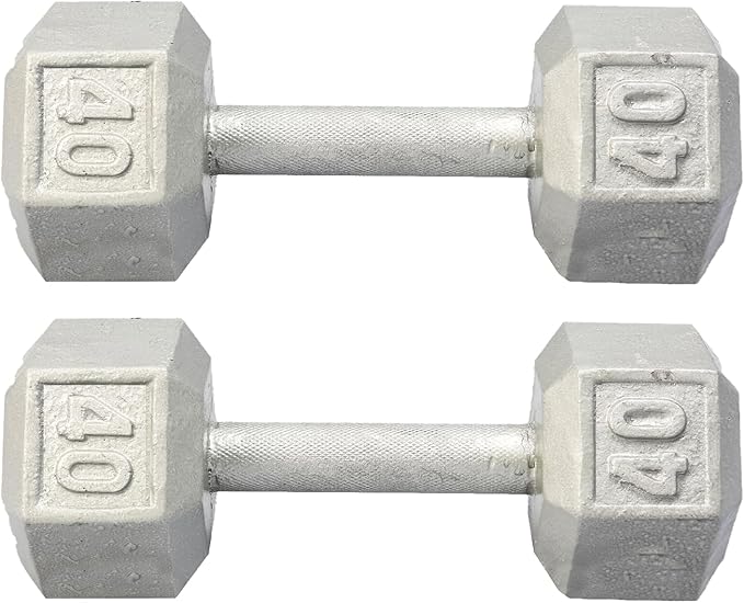 New York Barbell 40 lb Cast Iron Hex Dumbbells (Pair) – Silver York Freeweight